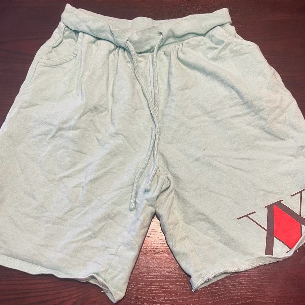 Light Green Casual Shorts